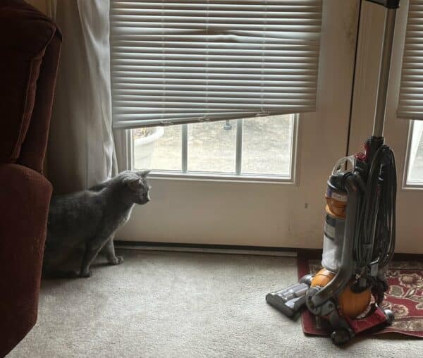 Olga thinking about getting closer to the vacuum