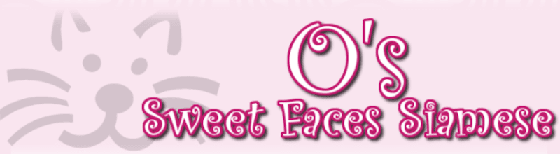 O's Sweet Faces Siamese logo
