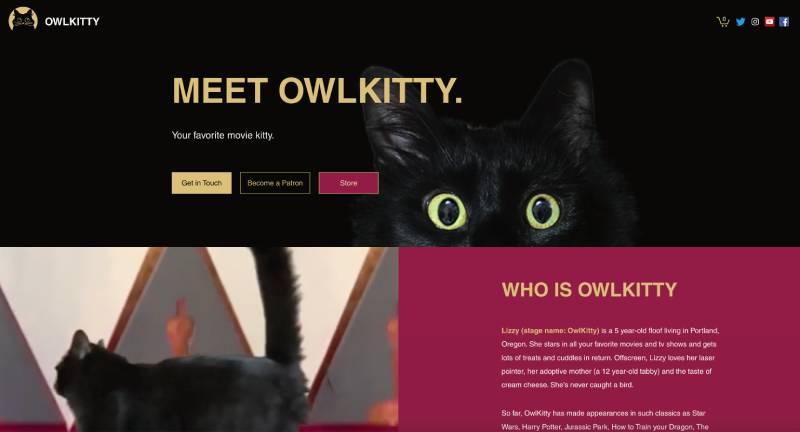 OwlKitty