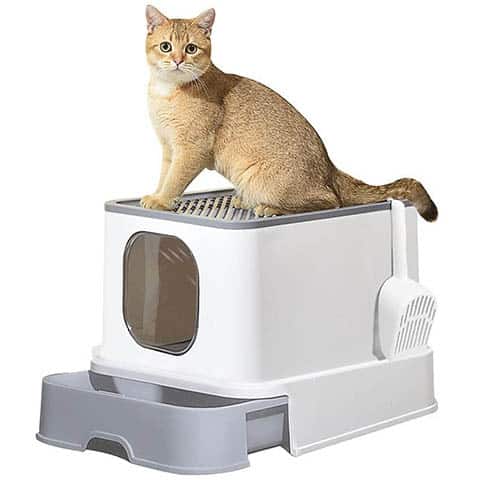 PaWz Cat Litter Box