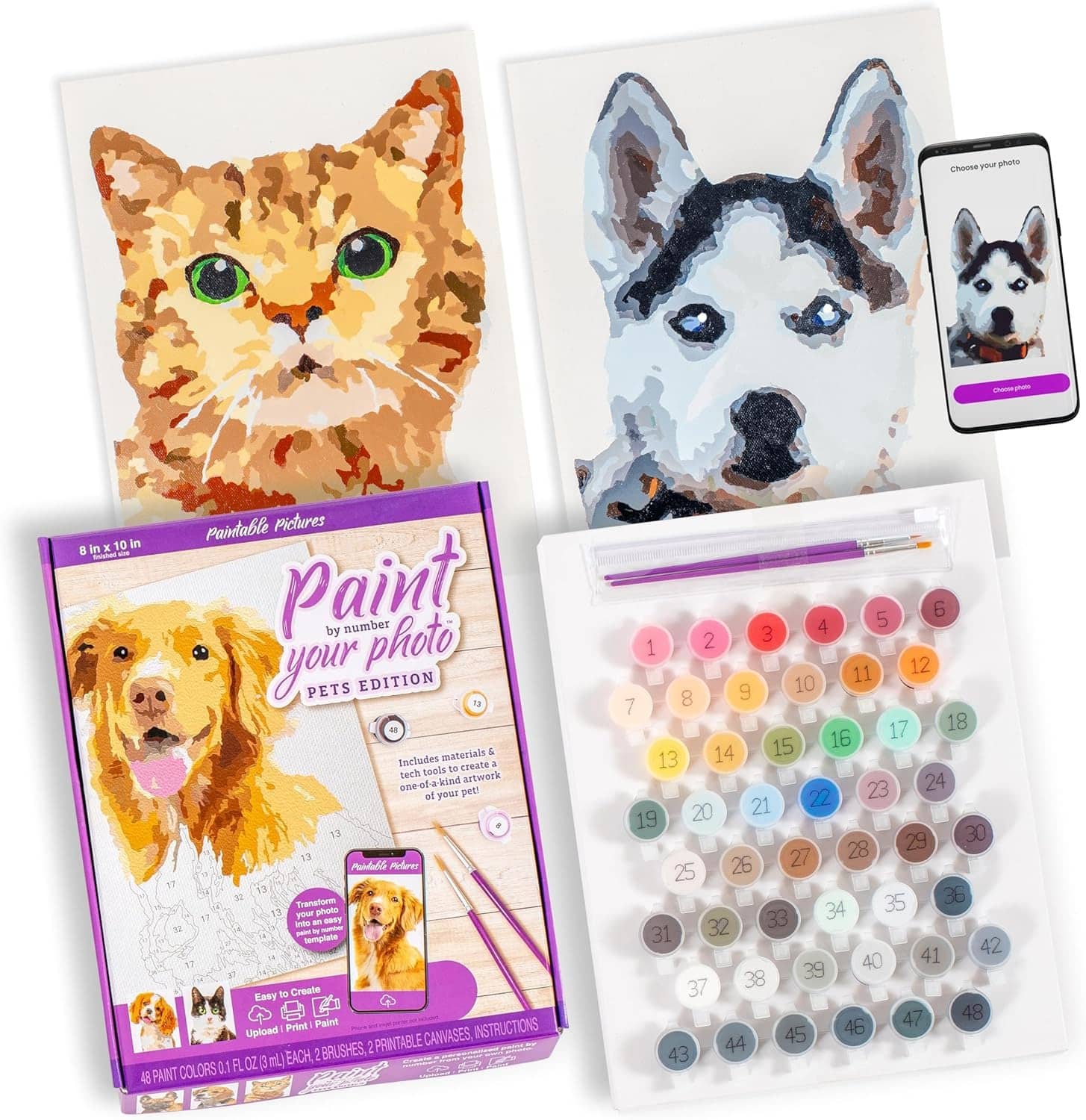 Paint Your Pet Kit