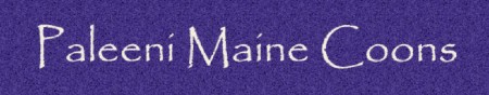Paleeni Maine Coons logo