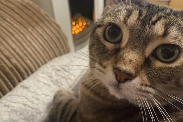 Pancake close up by the fire