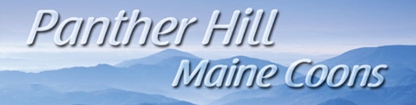 Panther Hill logo