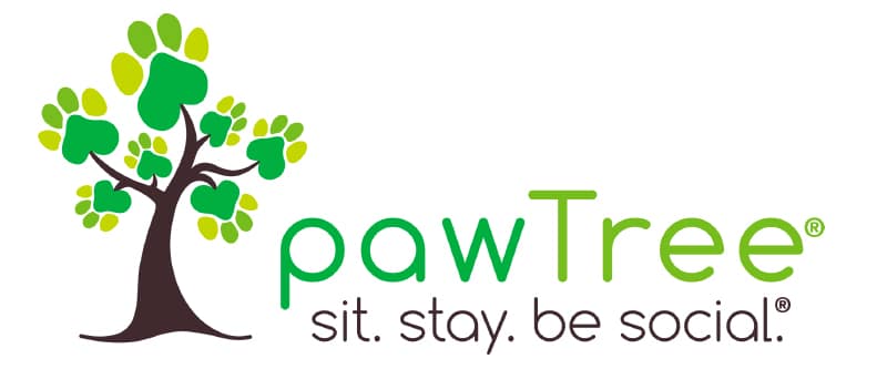 Paw Tree logo