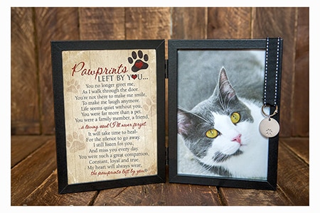 PAWPRINTS REMEMBERED Pet Memorial Stone with Picture Frame 