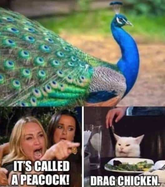 Peacock