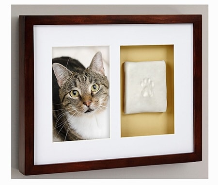 Pearhead Pawprints Dog & Cat Wall Frame and Impression Kit, Espresso