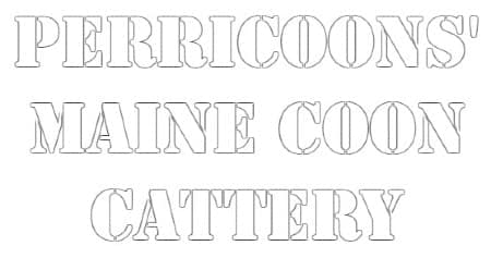 Perricoons’ Maine Coon Cattery logo