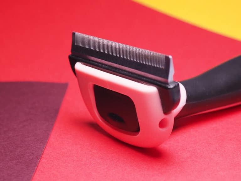 How to Clean Up Cat Hair 10 Easy Ways Catster