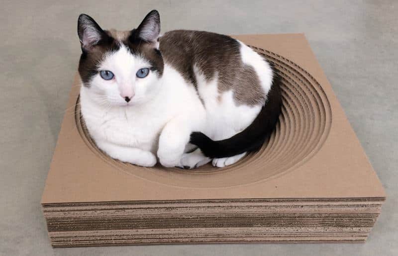Pet Projects - DIY Cat Scratcher Beds1