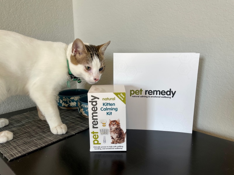 Pet Remedy Kitten Calming Kit - cat sniffing the product box
