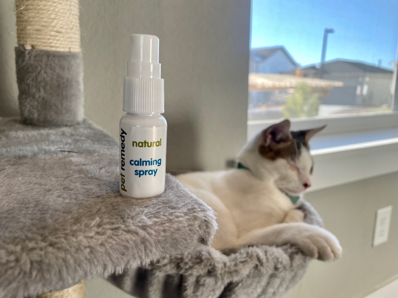 Pet Remedy Kitten Calming Kit - natural calming spray on cat tree