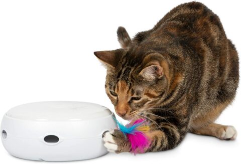 PetFusion Ambush Electronic Cat Toy