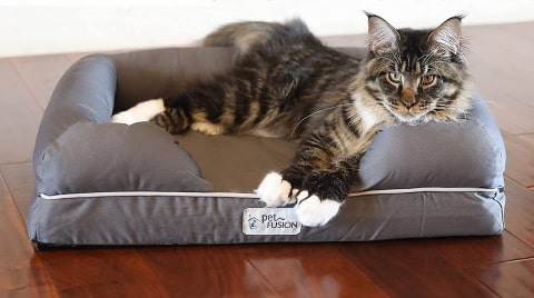 PetFusion Ultimate cat bed