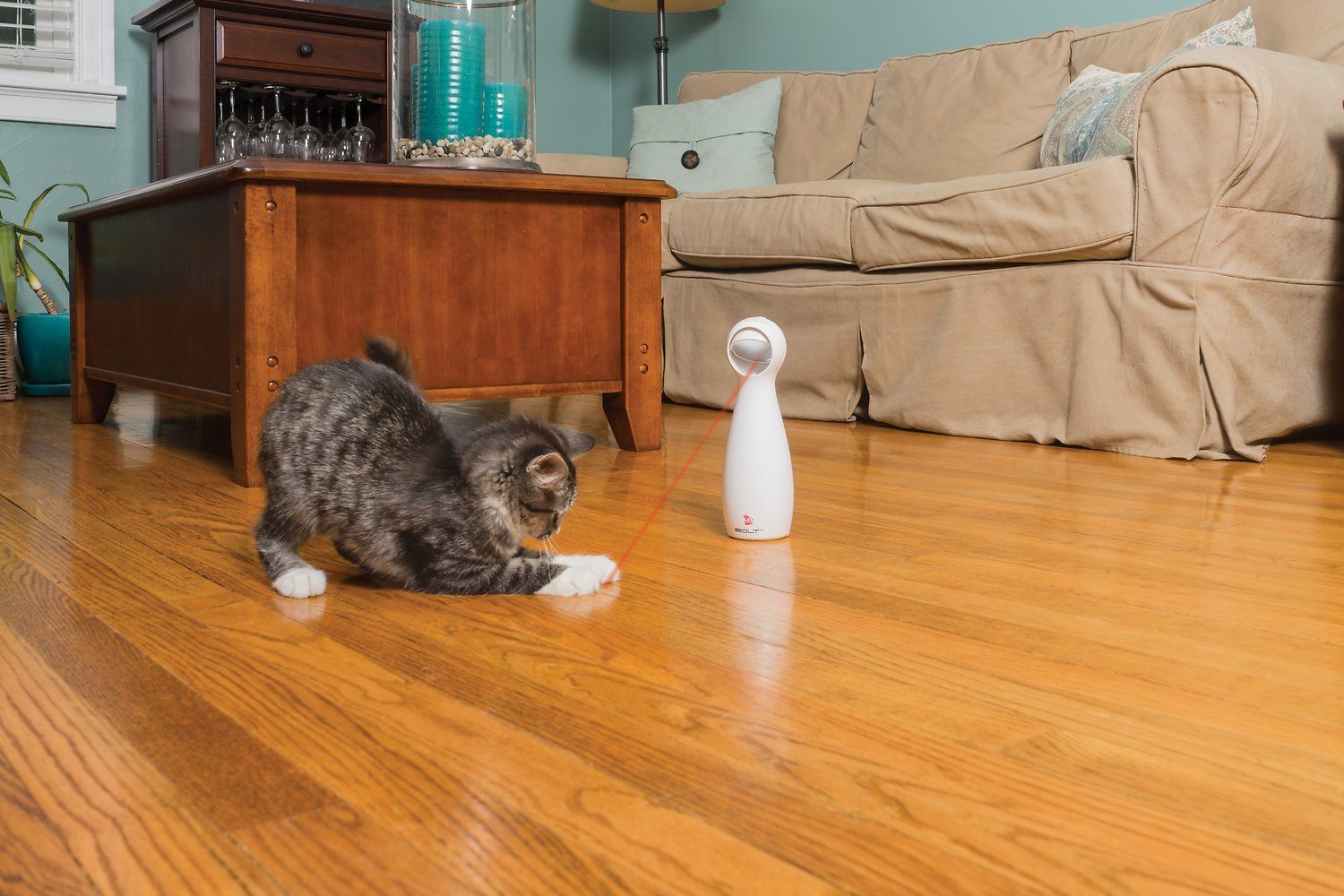 PetSafe Bolt Interactive Laser Cat Toy-FI