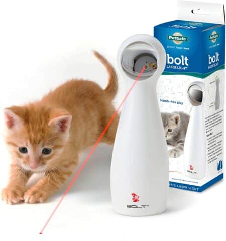 PetSafe Bolt Interactive Laser Cat Toy