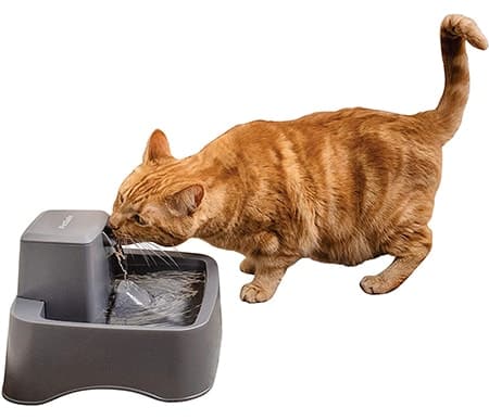 PetSafe Drinkwell Pet Fountain