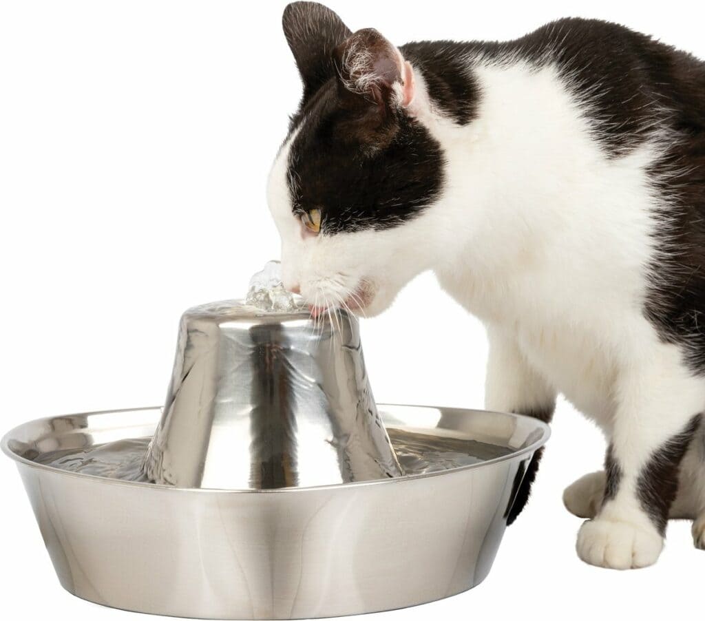 PetSafe Seaside Stainless Steel Cat Water Fountain