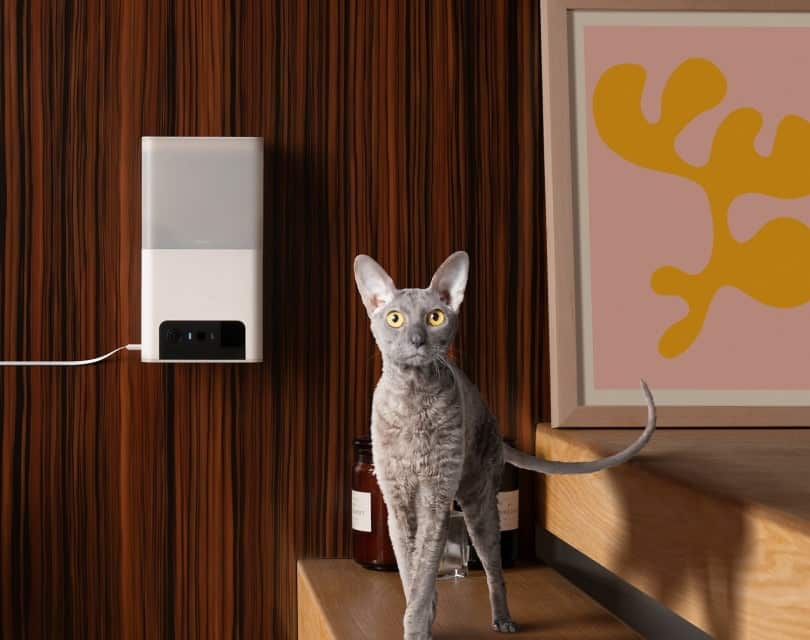 Petcube Bites 2 Lite Interactive WiFi Pet Monitoring