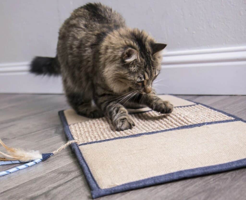 Petlinks Scratching and Play Mat