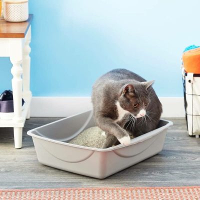 Petmate Litter Pan