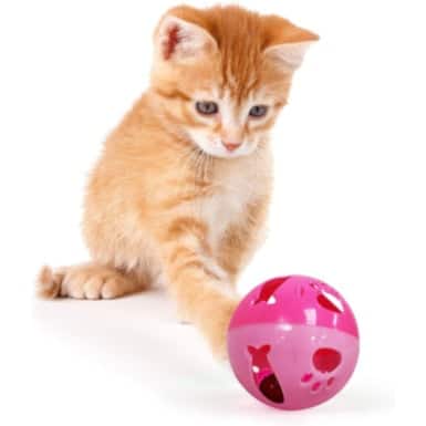 Pets First Large Size Cat Ball