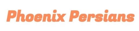 Phoenix persians logo