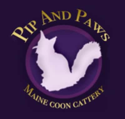 Pip and Paws logo