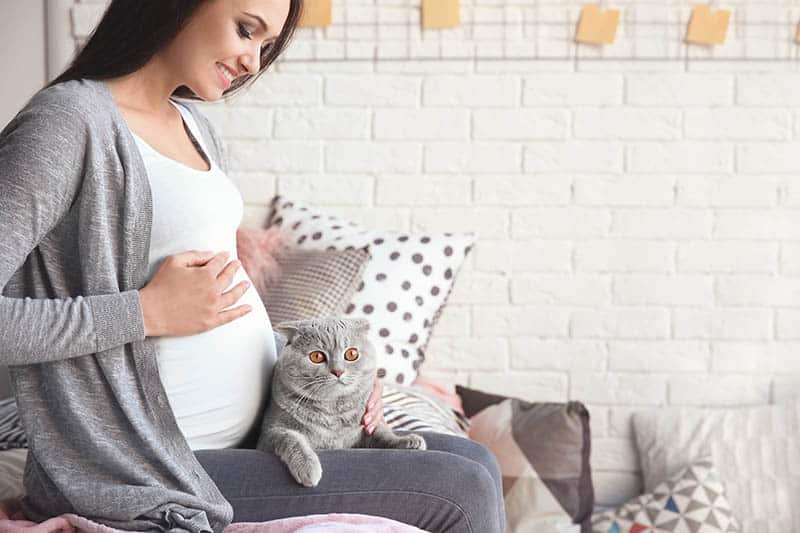 Pregnant young woman with pet cat