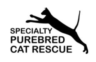 Purebred Cat Rescue