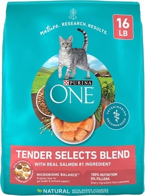 Purina ONE Natural Dry Cat Food