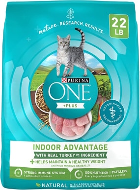 Purina ONE Natural Indoor Dry Cat Food