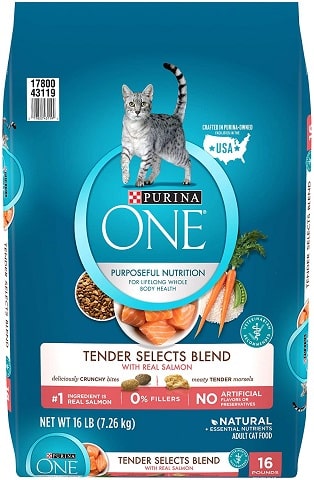 Purina ONE Tender Selects Blend with Real Salmon Dry Cat Food