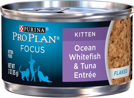 Purina Pro Plan Focus Kitten Food