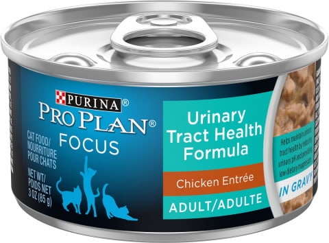 Purina Pro Plan canned cat food_Chewy