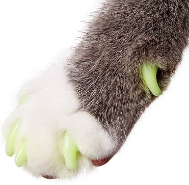 Purrdy Paws Soft Cat Nail Caps
