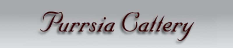 Purrsia Cattery logo