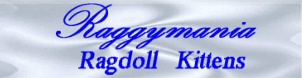 Raggymania logo