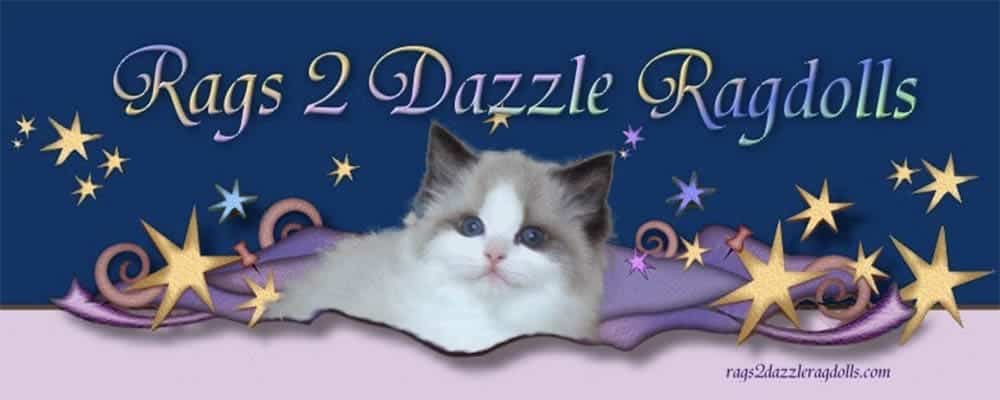 Rags 2 Dazzle Ragdolls