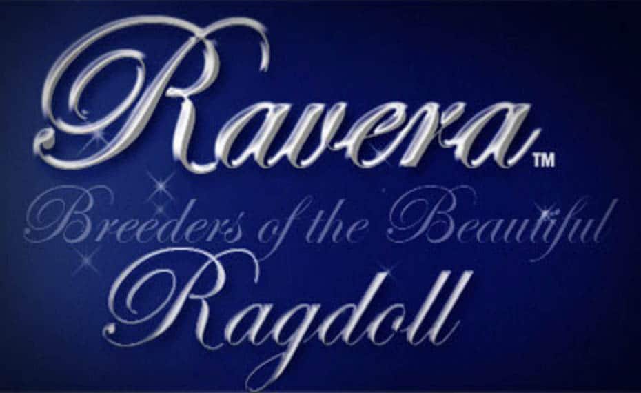 Ravera Ragdoll