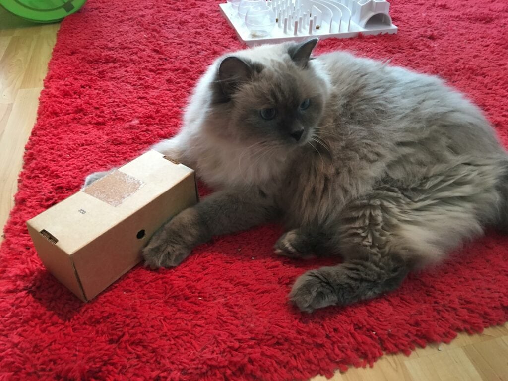 Recycled Cardboard Box by Food Puzzles For Cats 