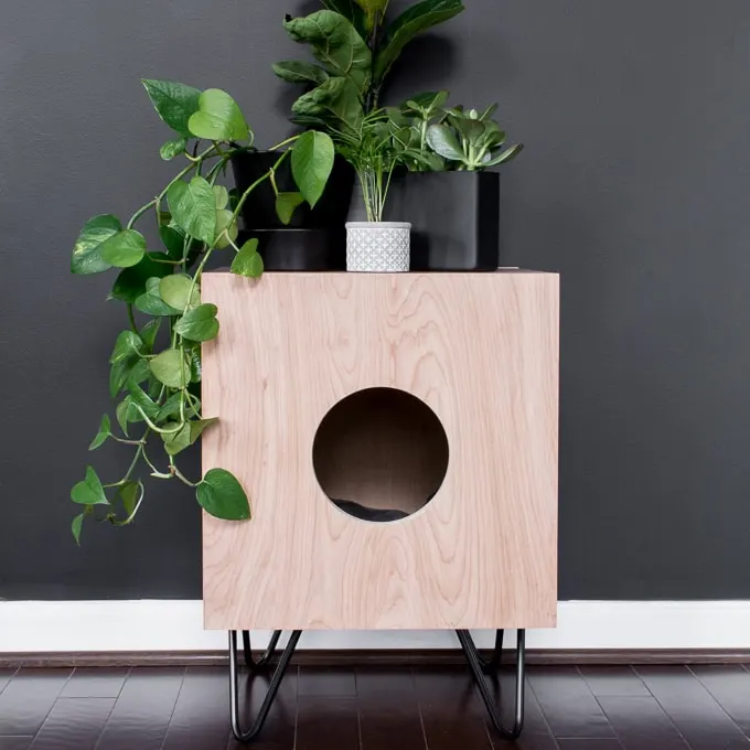 Retro Cat House and Side Table by Brittany goldwyn