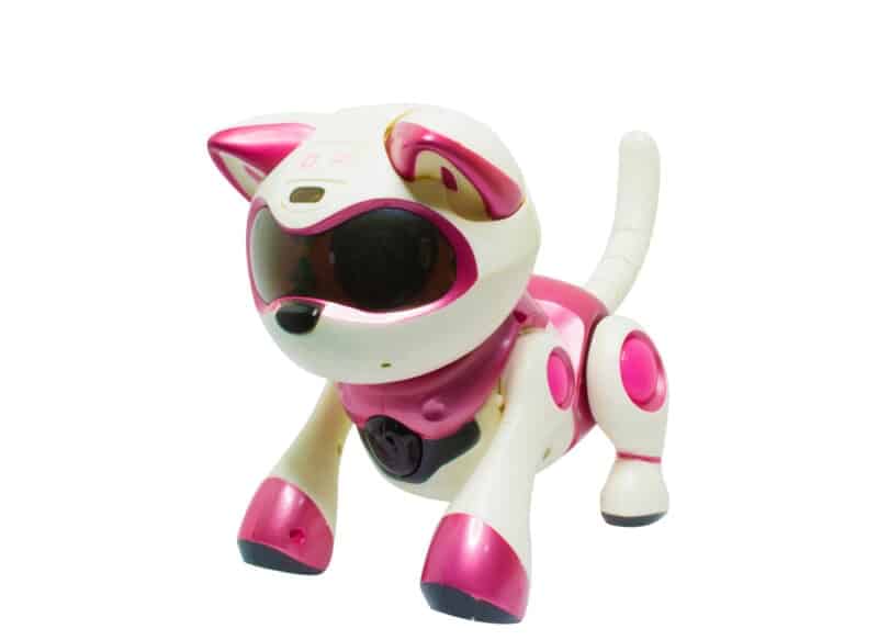 Robot cat pet