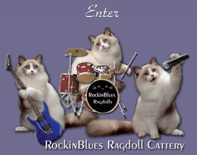 RockinBlues Ragdoll Cattery logo
