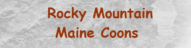 Rocky Mountain Maine Coons logo