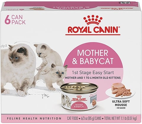 Royal Canin Mother & Babycat Mousse Cat Foodl