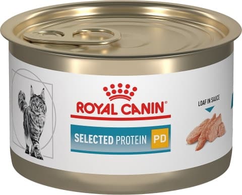 Royal Canin adult canned cat food_Chewy