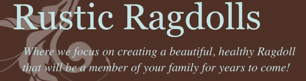 Rustic Ragdolls