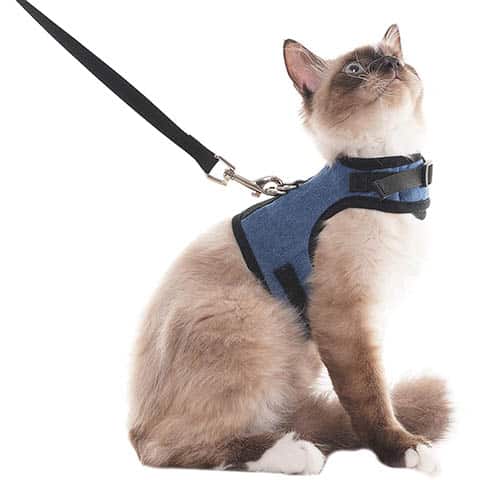 SCENEREAL Escape Proof Cat Harness and Leash